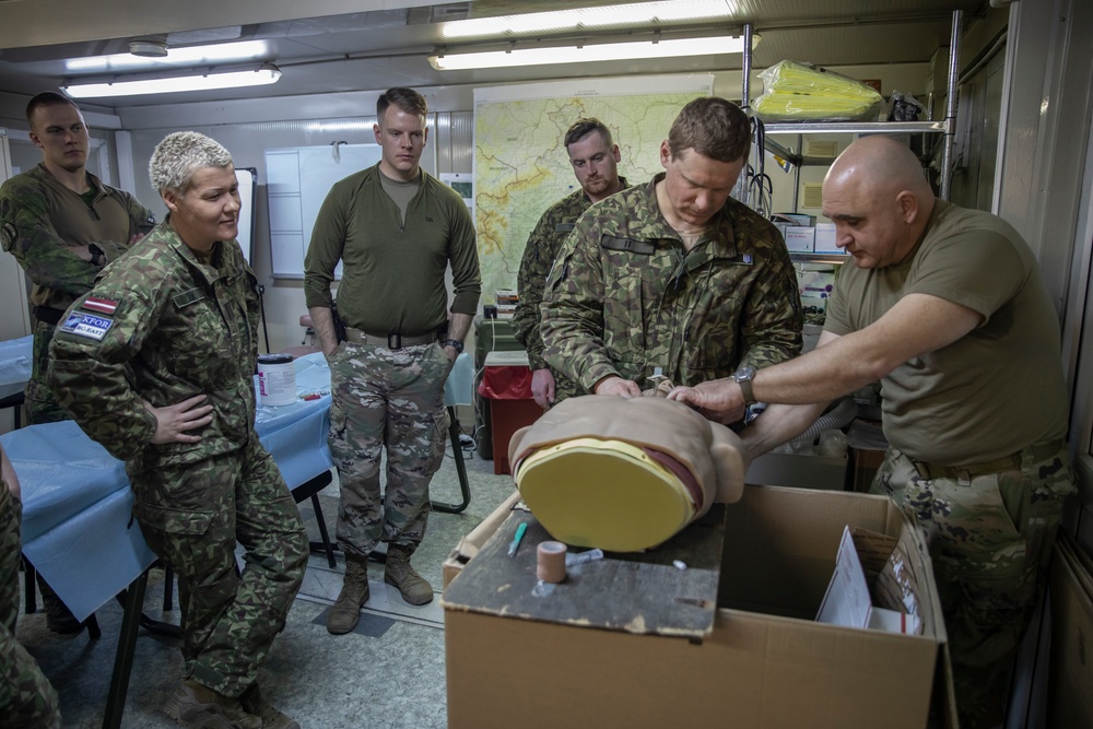 DVIDS - Images - KFOR Soldiers conduct medical training [Image 4 of 11]