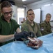 KFOR Soldiers conduct medical training