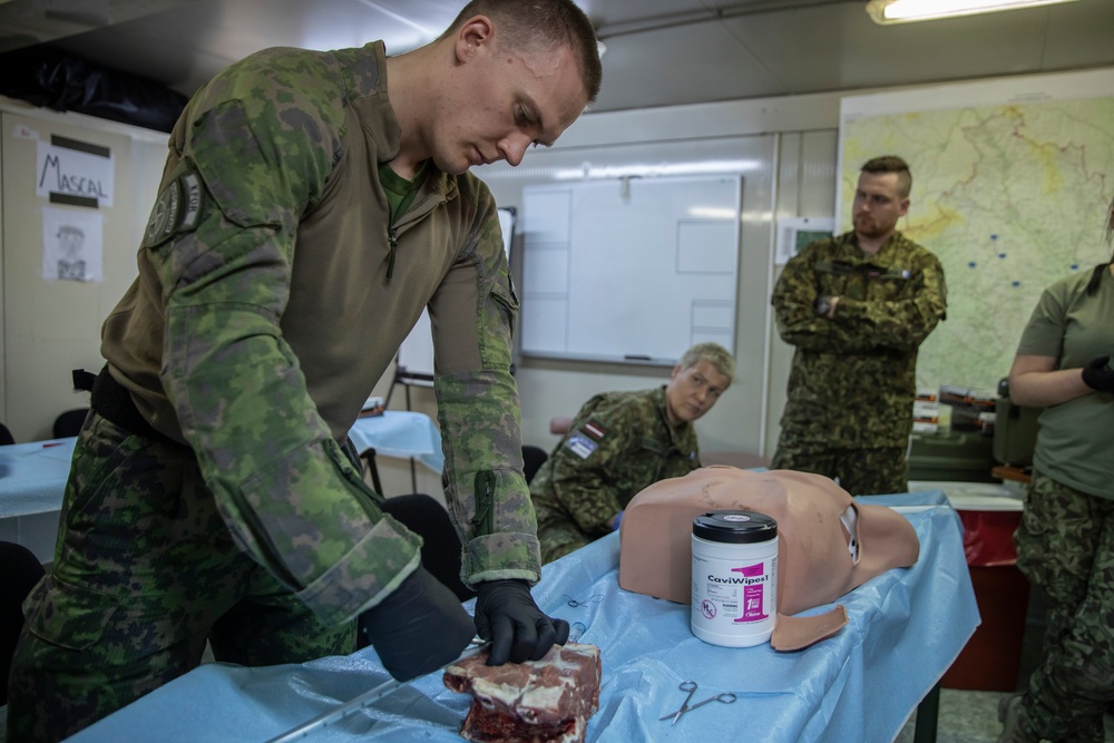 DVIDS - Images - KFOR Soldiers conduct medical training [Image 8 of 11]
