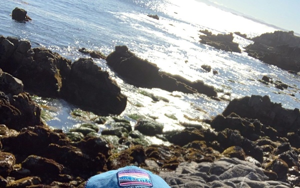 A Presidio of Monterey Military Spouse Appreciation Day tribute