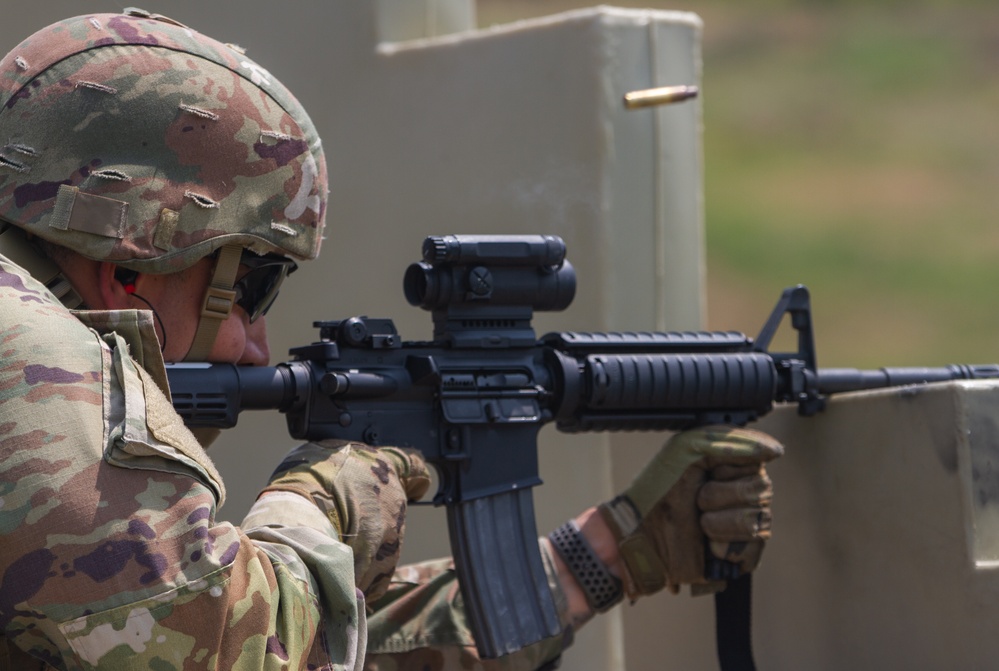 1/201st Field Artillery Battalion Annual Training