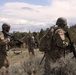 MTNG OCS FTX