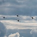 Thunderbirds soar over JBLE