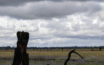 Nisqually Tribe hosts Leschi Honor Walk on JBLM to remember ancestors, native land