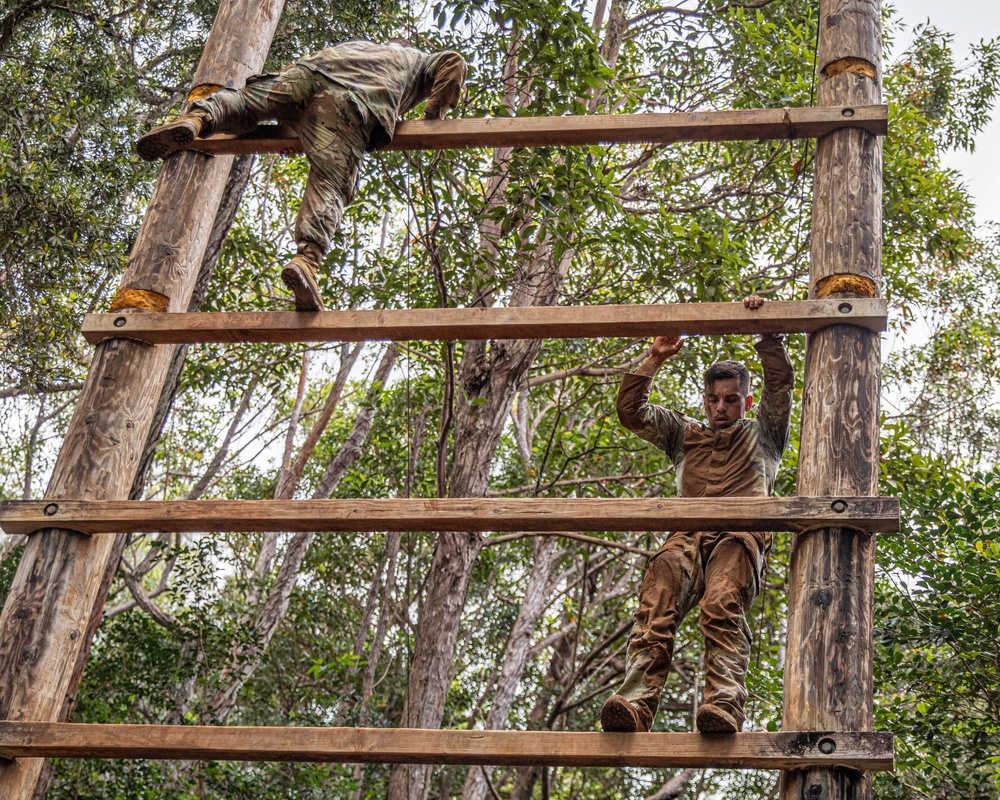 Air Assault: Obstacle Course