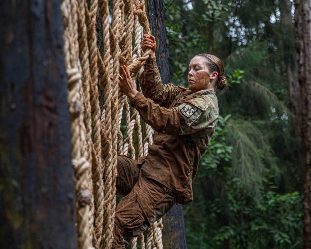 Air Assault: Obstacle Course