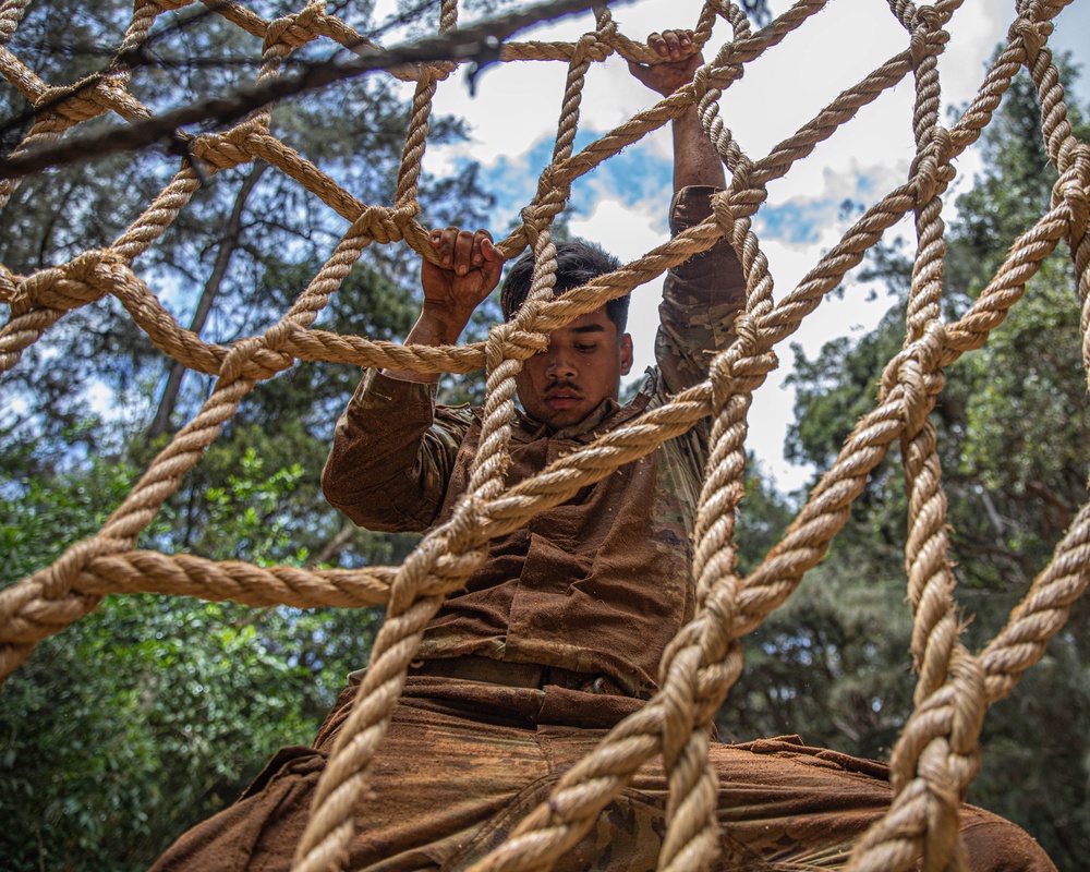 Air Assault: Obstacle Course