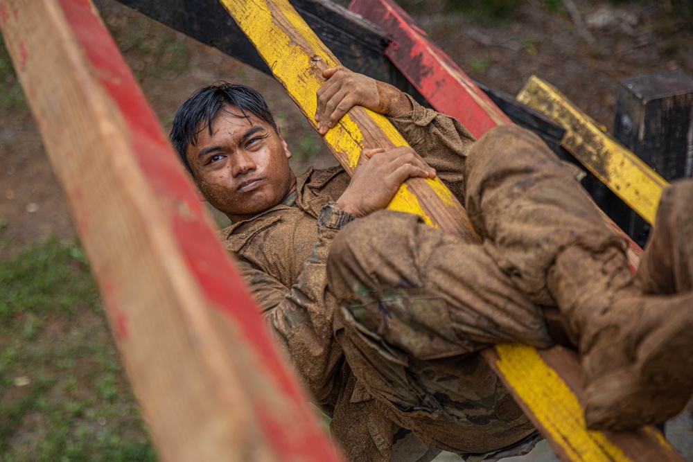 Air Assault: Obstacle Course