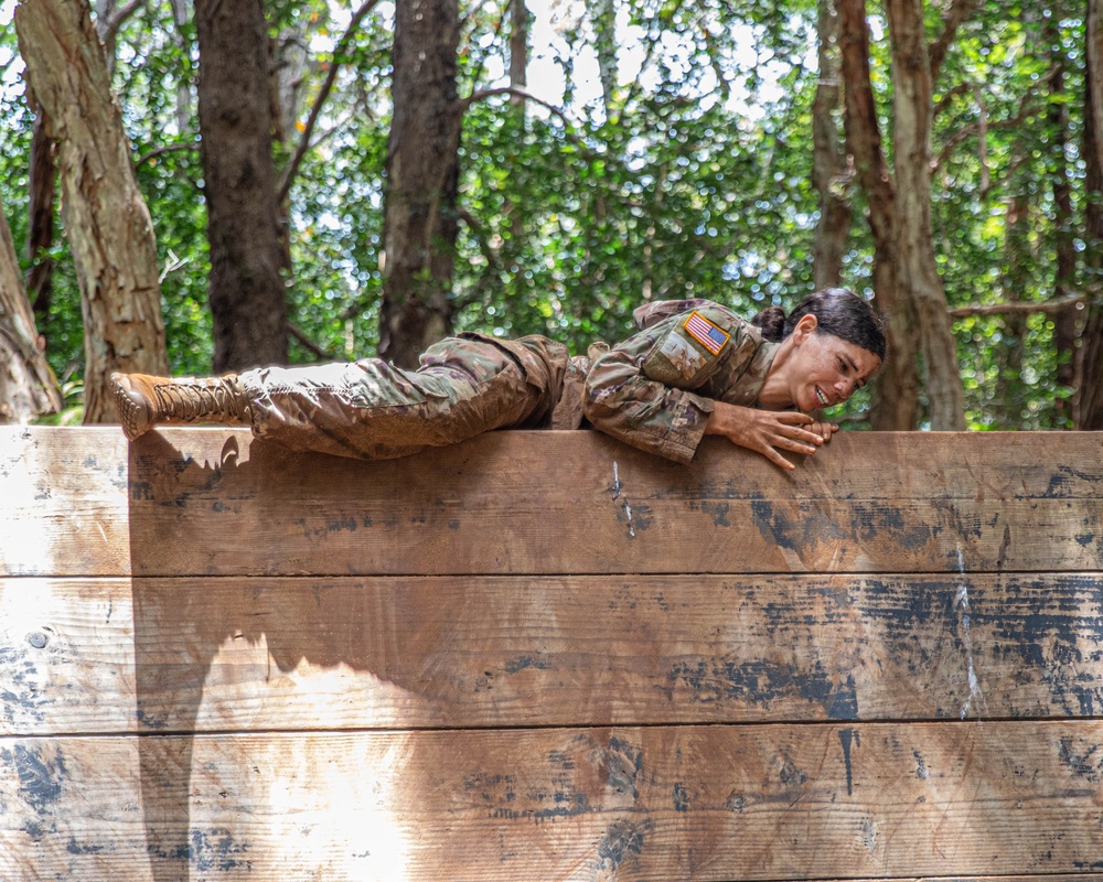 Air Assault: Obstacle Course