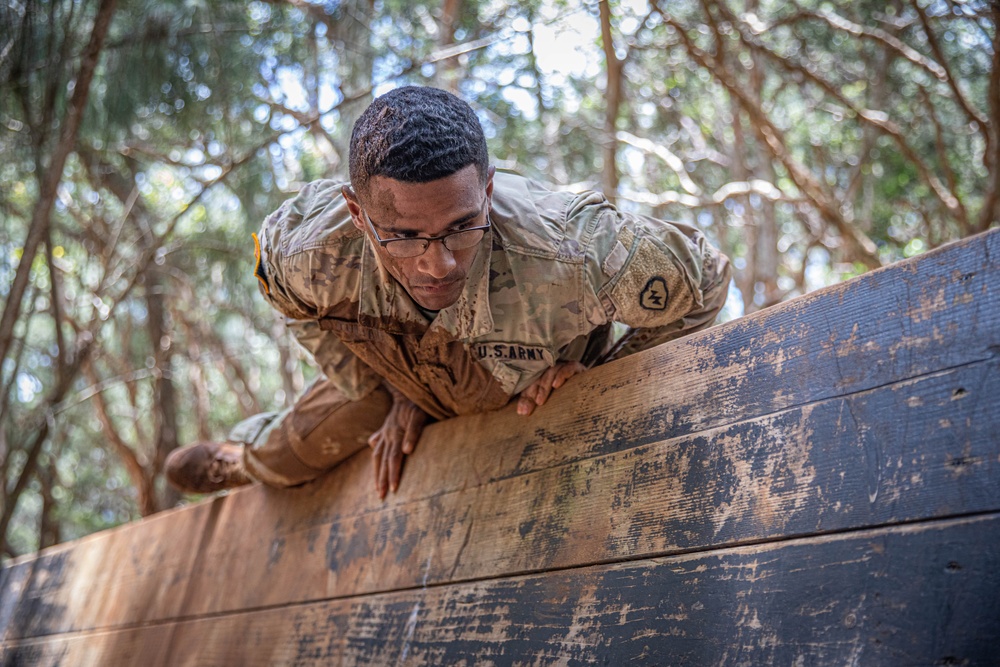 Air Assault: Obstacle Course