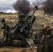 Fires in the Field: Washington National Guard field artillery company conducts live fire exercise