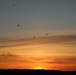 Allied Partners Perform a Free-fall Parachute Jump in Estonia