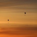 Allied Partners Perform a Free-fall Parachute Jump in Estonia