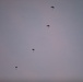 Allied Partners Perform a Free-fall Parachute Jump in Estonia