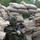 Lithuanian Soldier Conducting Squad Movement