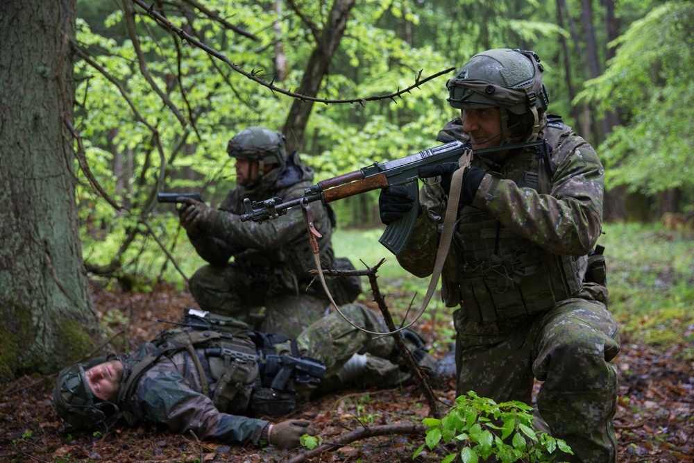 Slovak Soldiers Provide Security for Simulated Casualty
