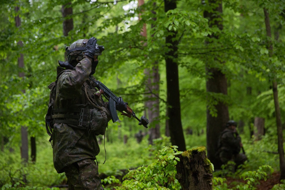 Slovak Soldier Patrols