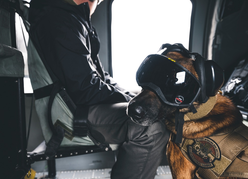 Wright-Patt military working dog and handler participate in Guardian Response 23