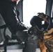 Wright-Patt military working dog and handler participate in Guardian Response 23