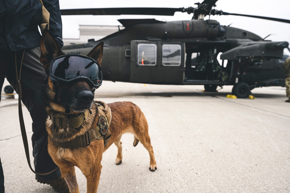 Wright-Patt military working dog and handler participate in Guardian Response 23