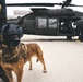 Wright-Patt military working dog and handler participate in Guardian Response 23