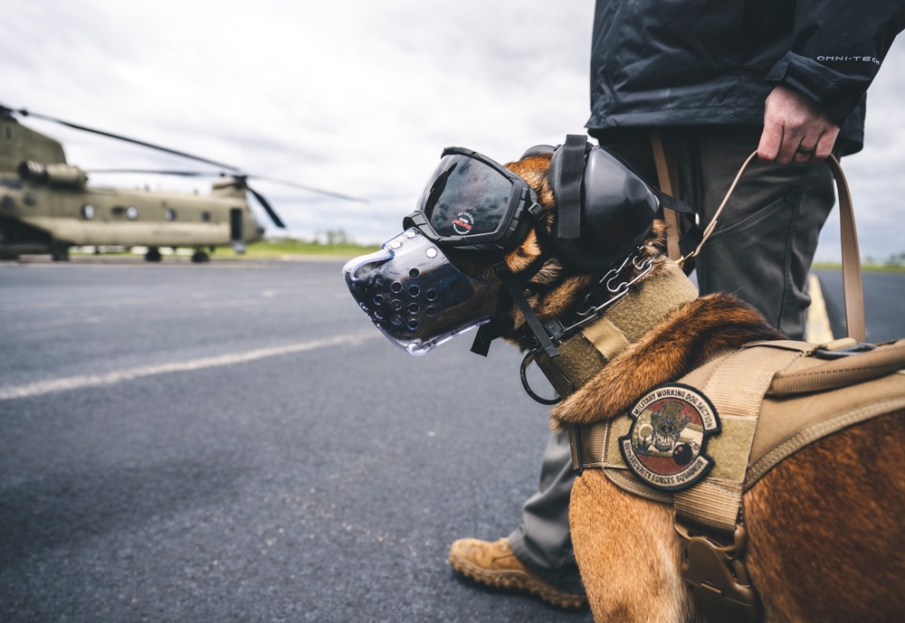 Wright-Patt military working dog and handler participate in Guardian Response 23