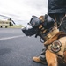 Wright-Patt military working dog and handler participate in Guardian Response 23