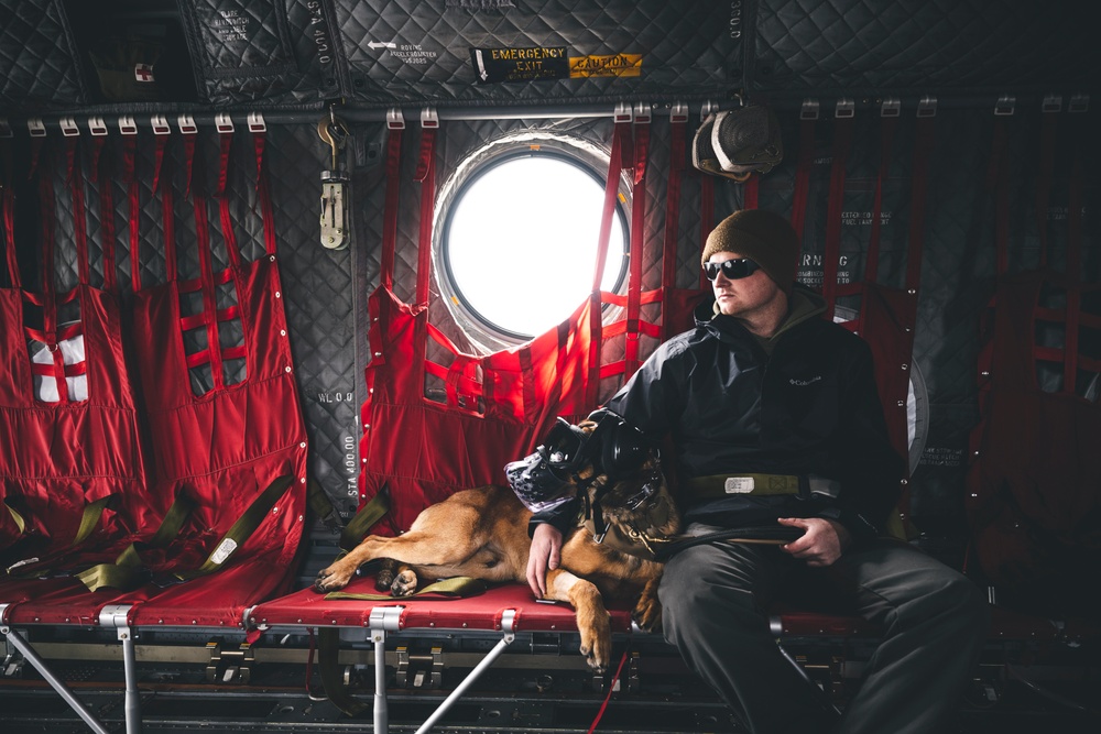 Wright-Patt military working dog and handler participate in Guardian Response 23