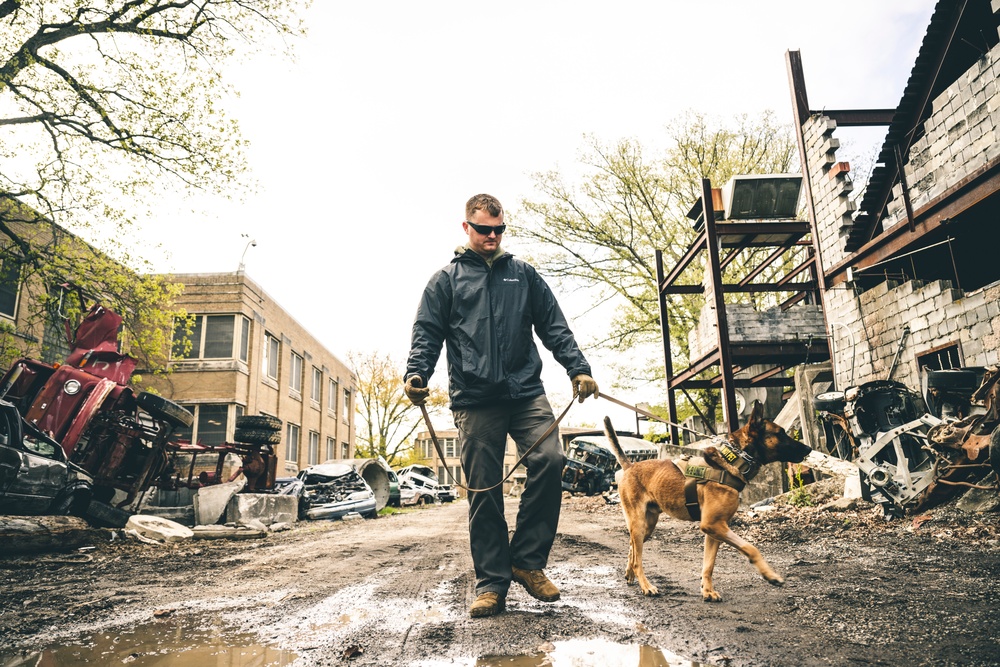 Wright-Patt military working dog and handler participate in Guardian Response 23