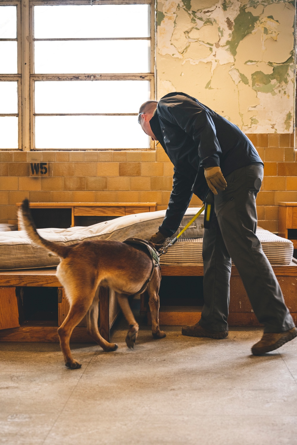 Wright-Patt military working dog and handler participate in Guardian Response 23