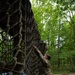 V Corps Obstacle Challenge