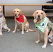 Nurses Week - Facility Dogs Meet Nurses