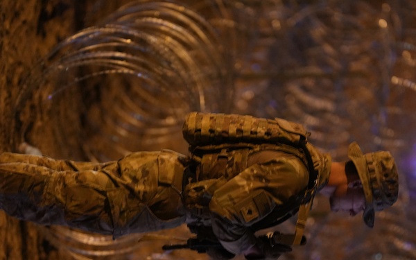 Texas Tactical Border Force