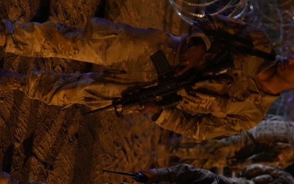 Texas Tactical Border Force