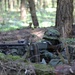 Swift Response 23: Estonian Defence League conduct field training