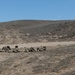 U.S. Army Soldiers conduct team movements and drills during Swift Response 23