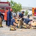 Members of Camp Lemonnier Fire and Emergency Medical Services, participate in a training exercise at Camp Lemonnier, Djibouti