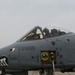 442d Fighter Wing continues CAS training in Defender Europe 23