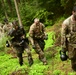 War Eagles Earn Their  Spurs