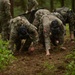 War Eagles Earn Their  Spurs