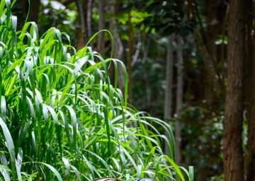 Region VII Best Warrior Competition 2023 on the Hawaiian Island of Oahu
