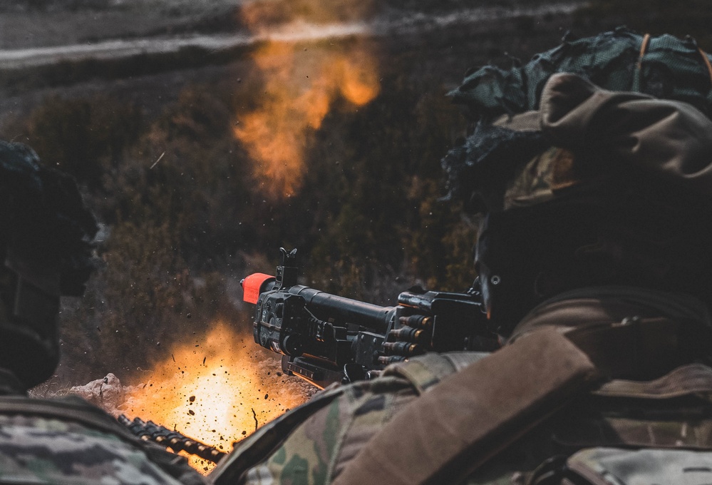 Illustrations: Swift Response 23 in Spain