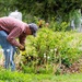 Airmen clean-up local cemetery