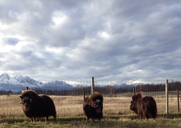 AFRL eyes development of next-generation textile for DAF uniforms