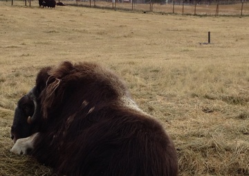 AFRL eyes development of next-generation textile for DAF uniforms