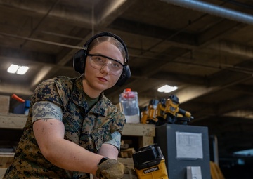 Sgt. Alona Radchenko, A Title Earned Not Given