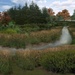 Groundbreaking ceremony ushers in start of fish and wildlife habitat restoration at Mountlake Terrace