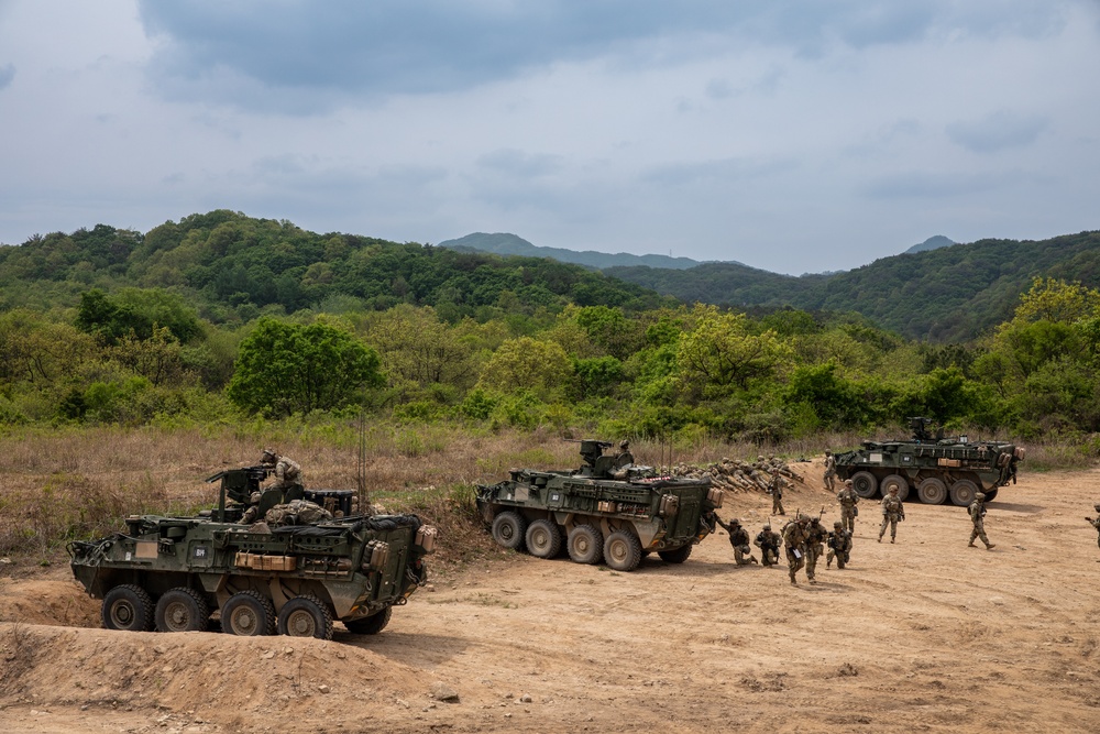 1-17 IN Platoon Live Fire Exercises