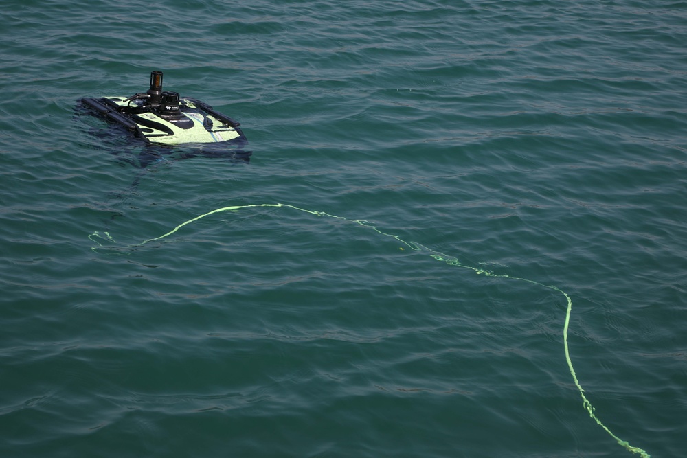 U.S. Navy, Lebanese Armed Forces Conduct Explosive Ordnance Disposal Training