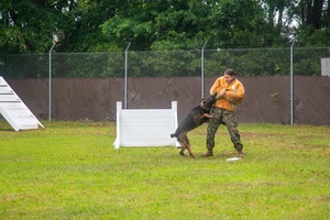 Soldiers Radio News